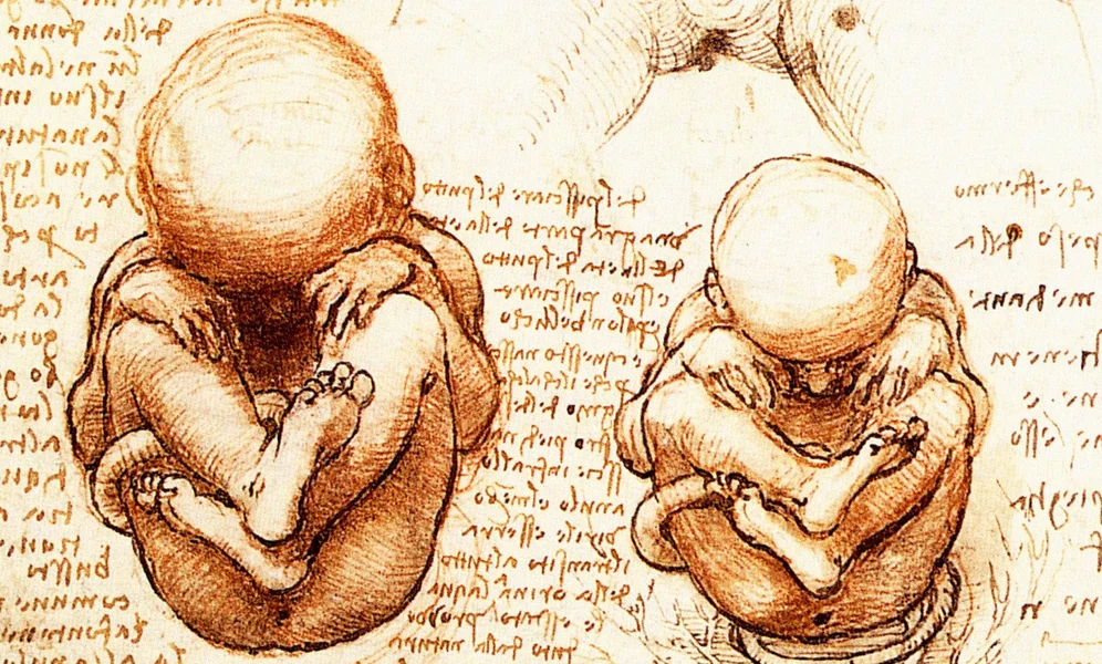 Leonardo da Vinci (1452–1519), manuskript fra studie av foster som forestilt av kunstneren eller basert på observasjon, Royal Library at Windsor Castle.